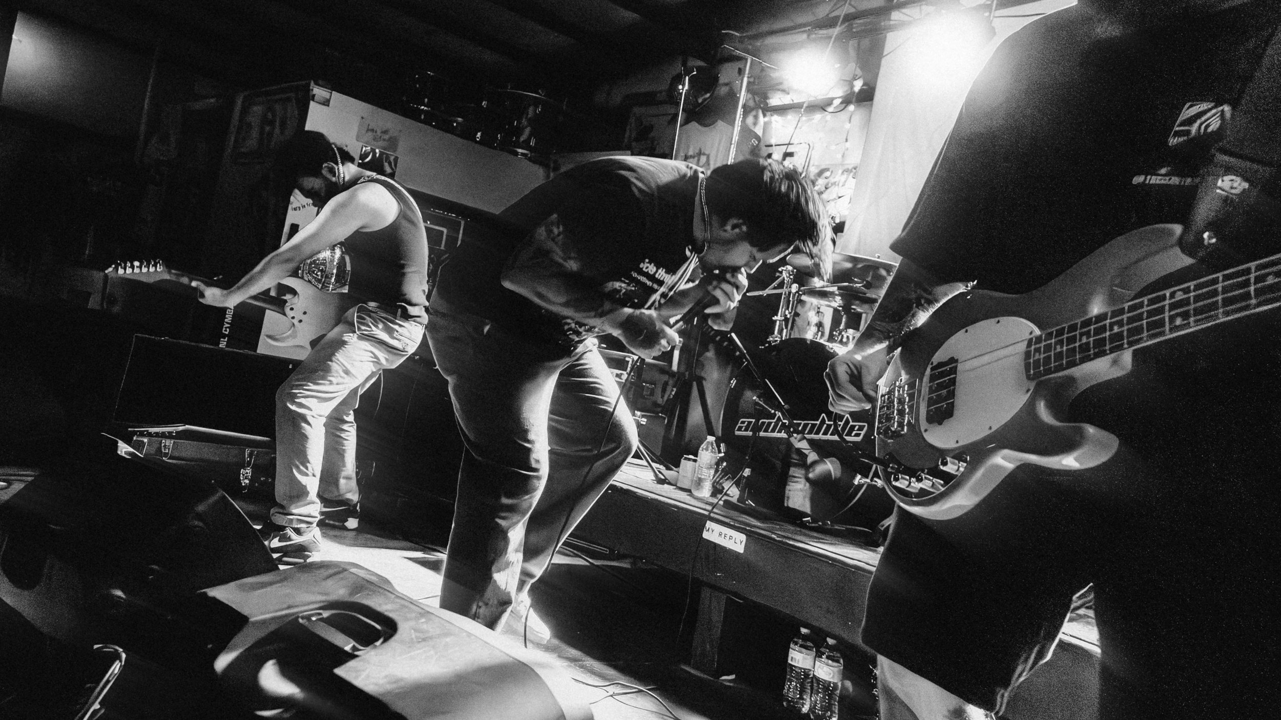 AV_03480.jpg
