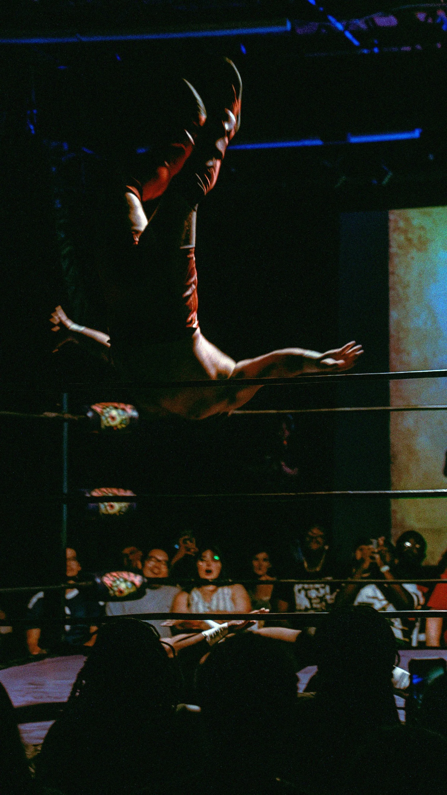 Retinal Wrestling . ALL GOOD BEVERAGE CO . 2026 .