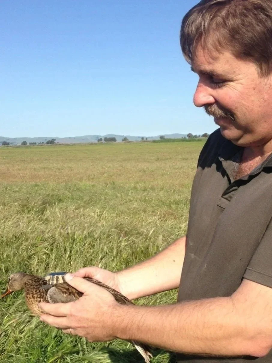 A man holding a duck in a grassy field with hills and trees in the background under a clear blue sky.