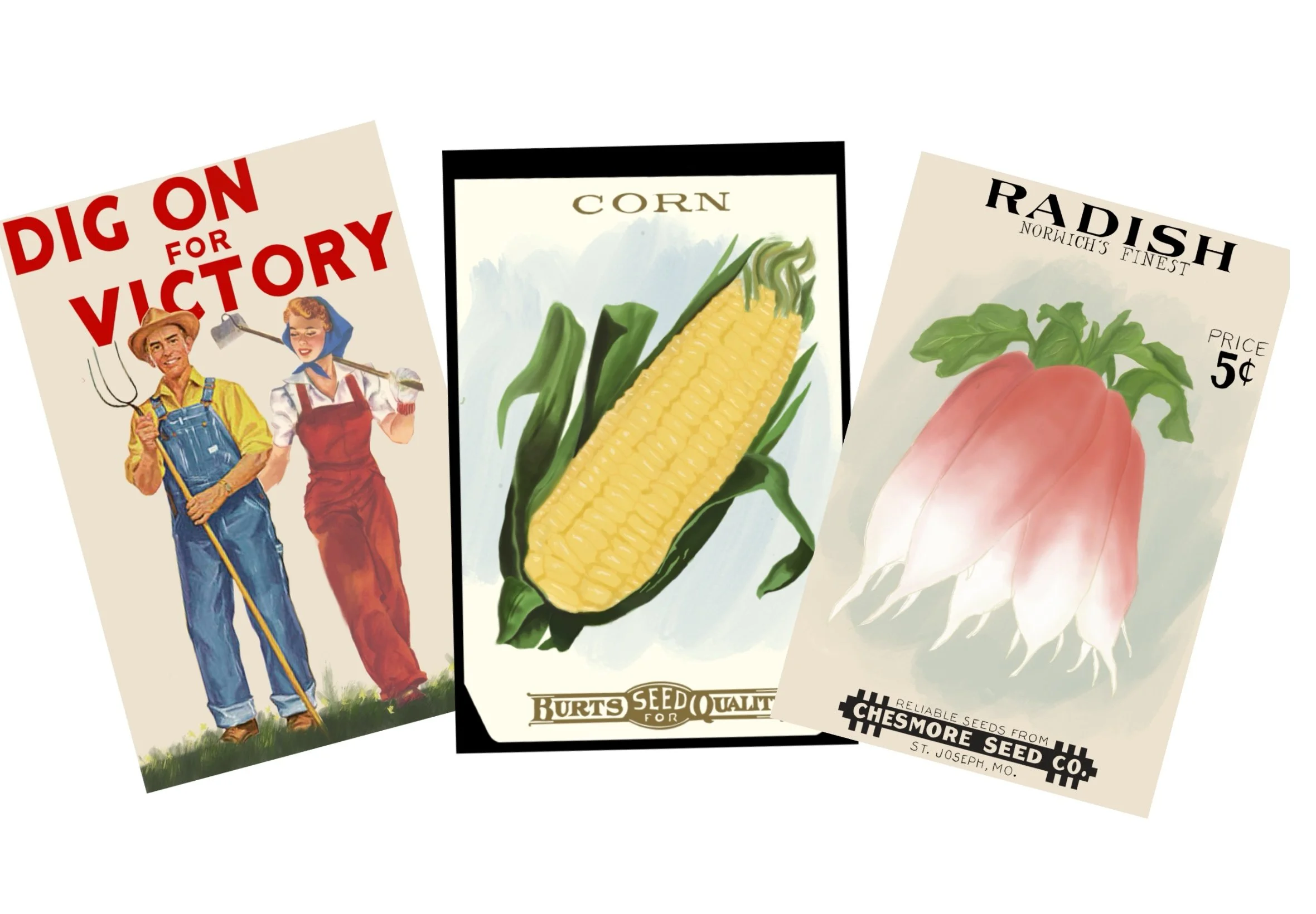 Procreate and photoshop 1939 seed packets for Her Naked Skin 