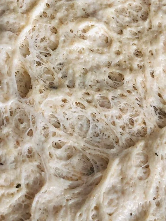 sourdough-starter.jpeg