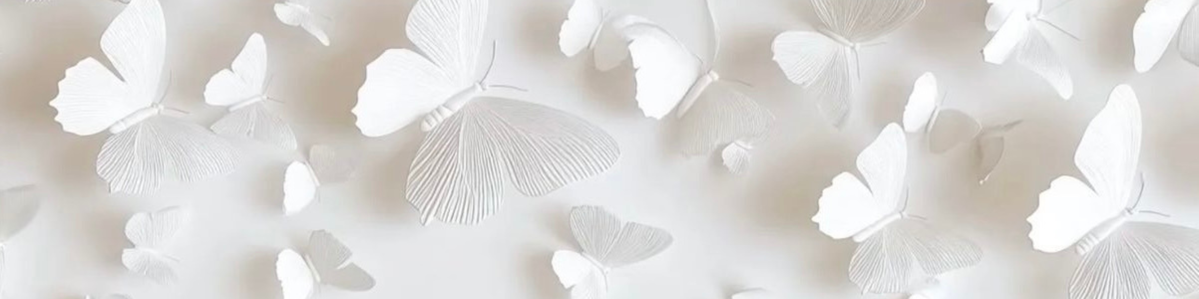 A collection of white paper butterflies of various sizes arranged on a white surface.