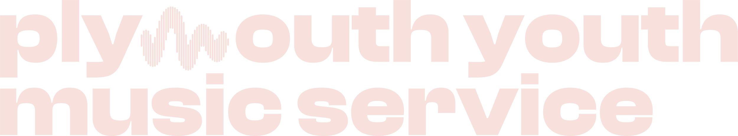 Plymouth Youth Music Service