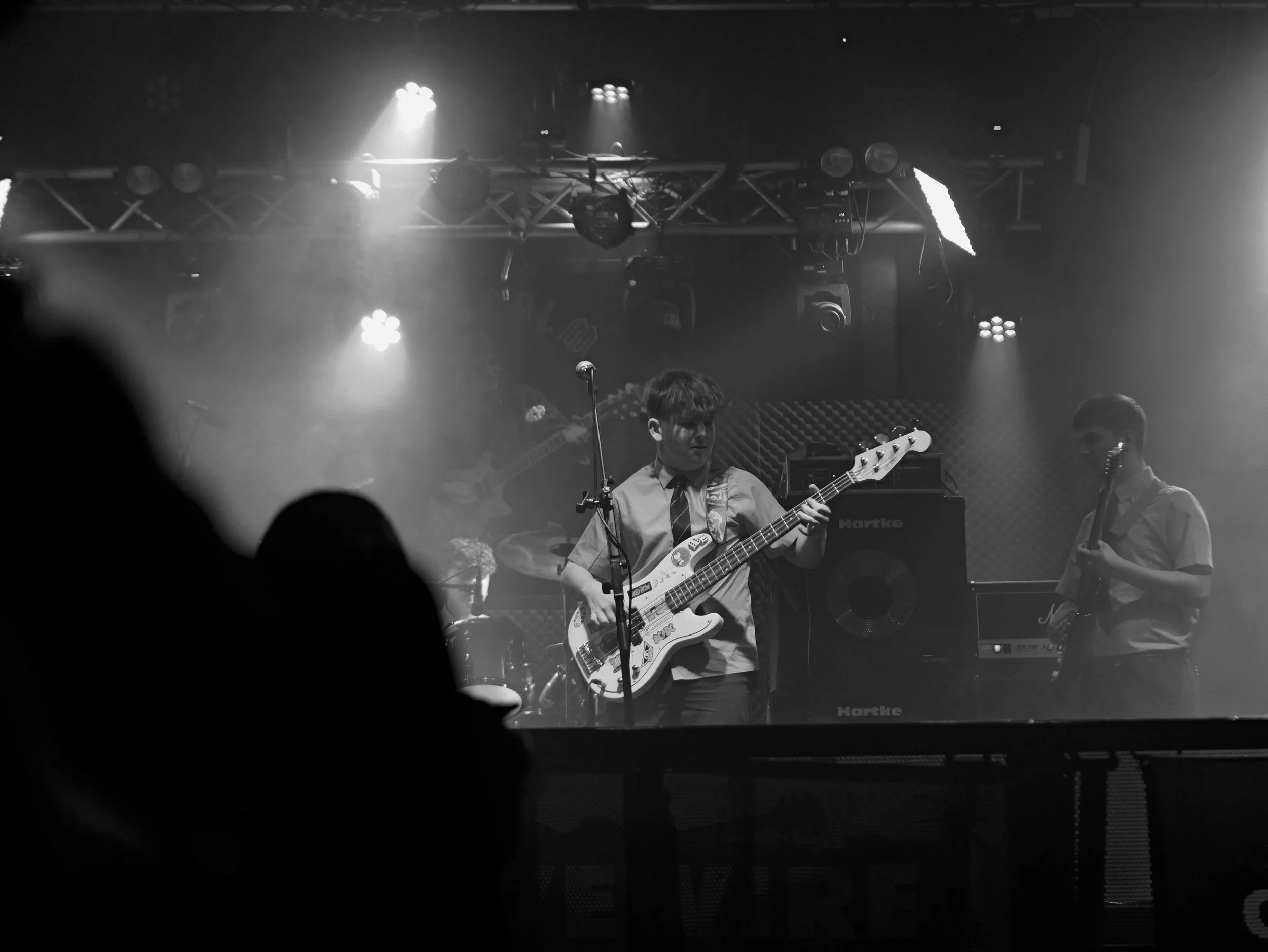 Guitarist on stage