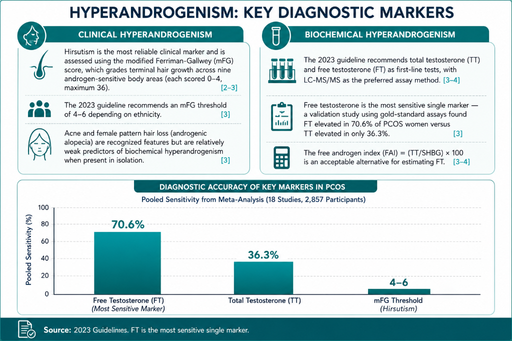 A scientific infographic titled 'Hyperandrogenism: Key Diagnostic Markers' describing clinical and biochemical hyperandrogenism, including guidelines for testing testosterone and free testosterone, and the diagnostic accuracy of key markers in PCOS, 