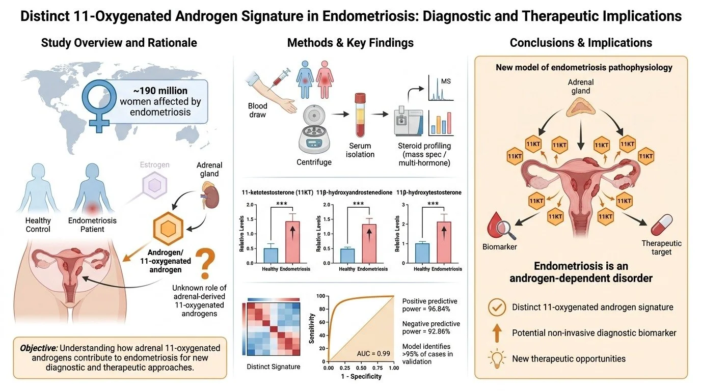 An infographic about the role of 11-oxygenated androgens in endometriosis, including study overview, methods, key findings, and conclusions. It shows that approximately 190 million women are affected, with a focus on hormone analysis through blood dr