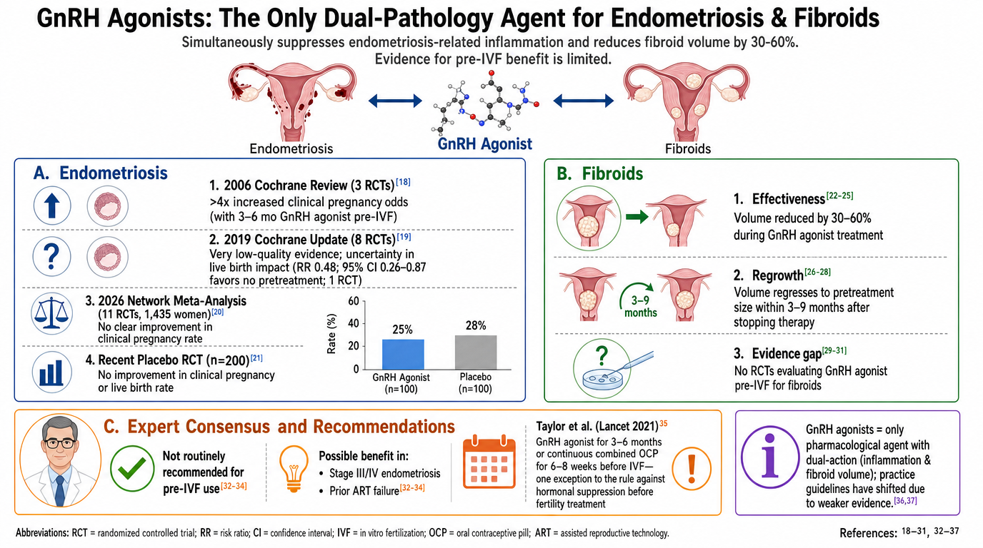 A chart comparing the effects of GnRH agonists on endometriosis and fibroids, showing clinical study data, effectiveness, regrowth, and expert recommendations.