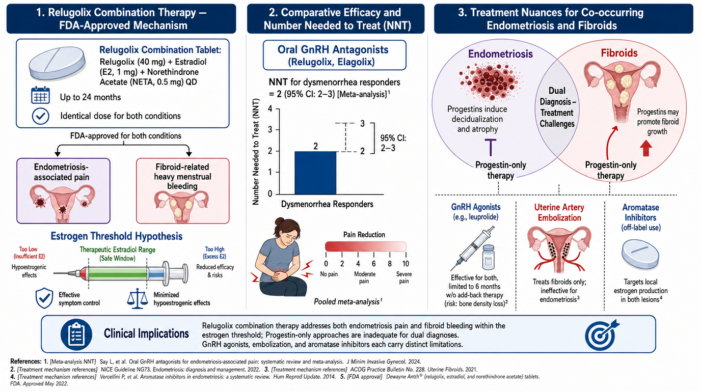 A detailed infographic explaining relugolix combination therapy for endometriosis and fibroids, including FDA-approved mechanisms, efficacy data, treatment challenges, and clinical implications.