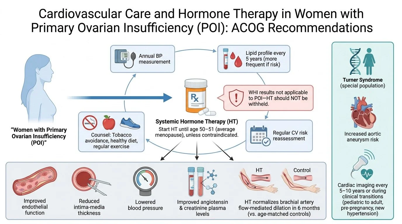 menThe-American-College-of-Obstetricians-and-Gynecologists-(ACOG)-recom…-image-1.jpg