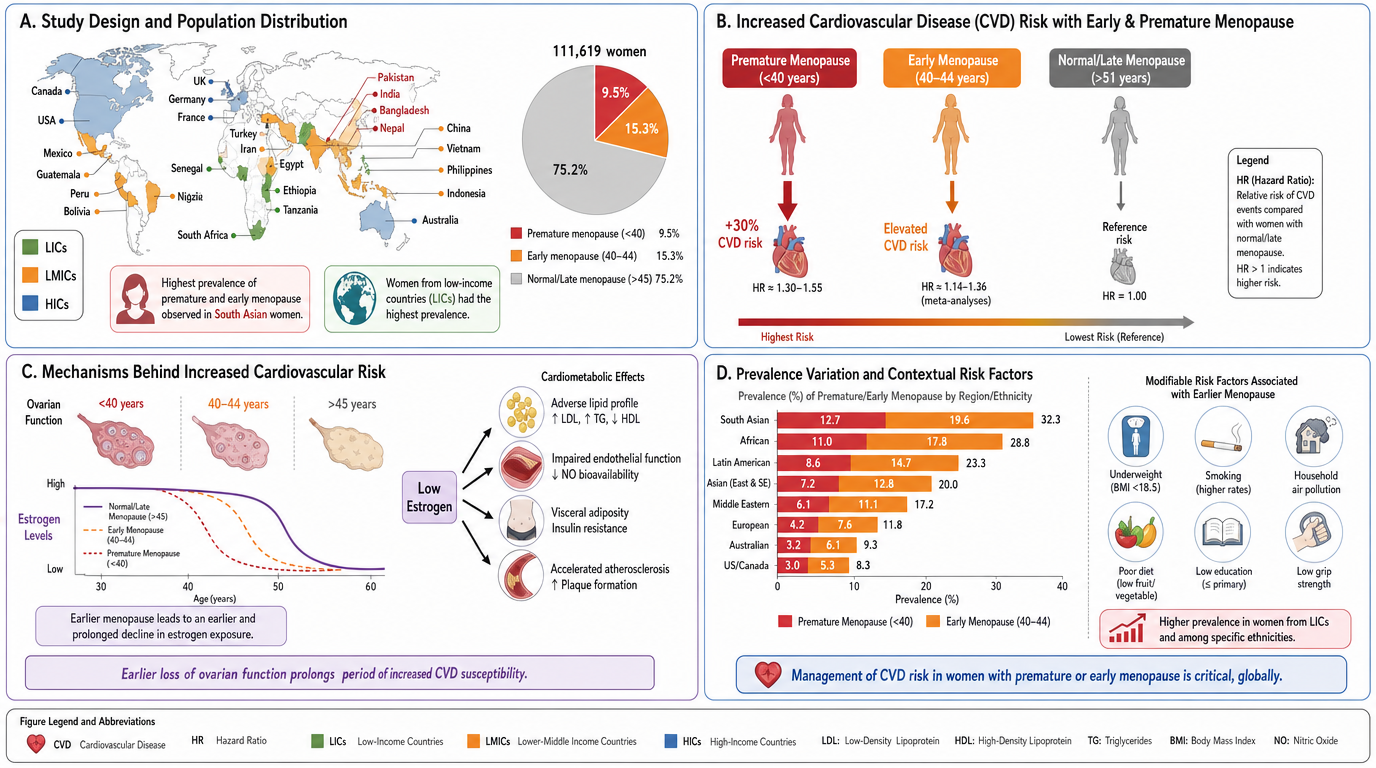 A multi-part infographic on women's health. Section A shows a world map with countries color-coded by income levels, highlighting South Asian women having the highest prevalence of premature and early menopause. Section B illustrates increased cardio