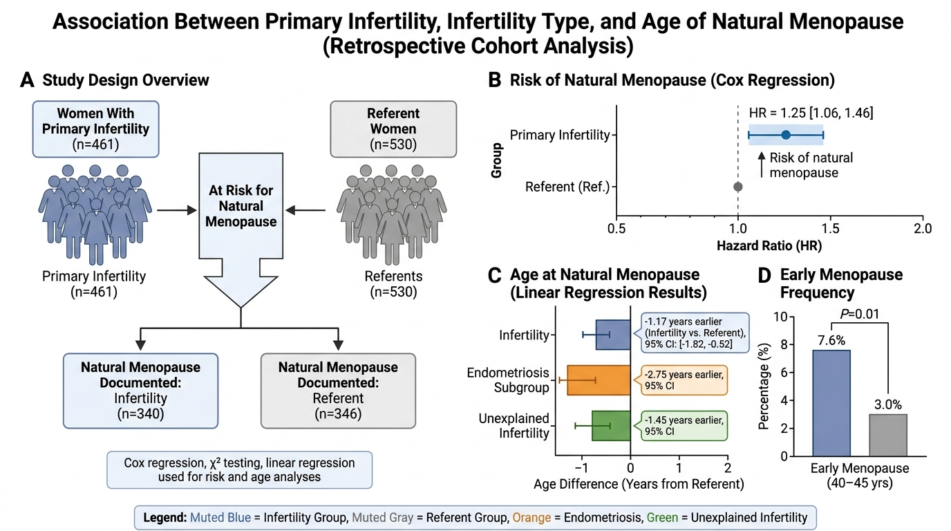 A diagram showing the association of primary infertility with infertility type and age of natural menopause. It includes a study overview with groups of women at risk for natural menopause, documents natural menopause and infertility, and compares ag