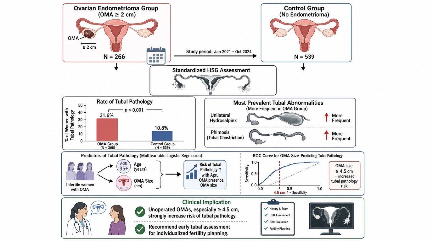 Diagram comparing ovarian endometrioma group and control group, showing prevalence of tubal pathology and abnormalities, predictors, ROC curve, and clinical implications.