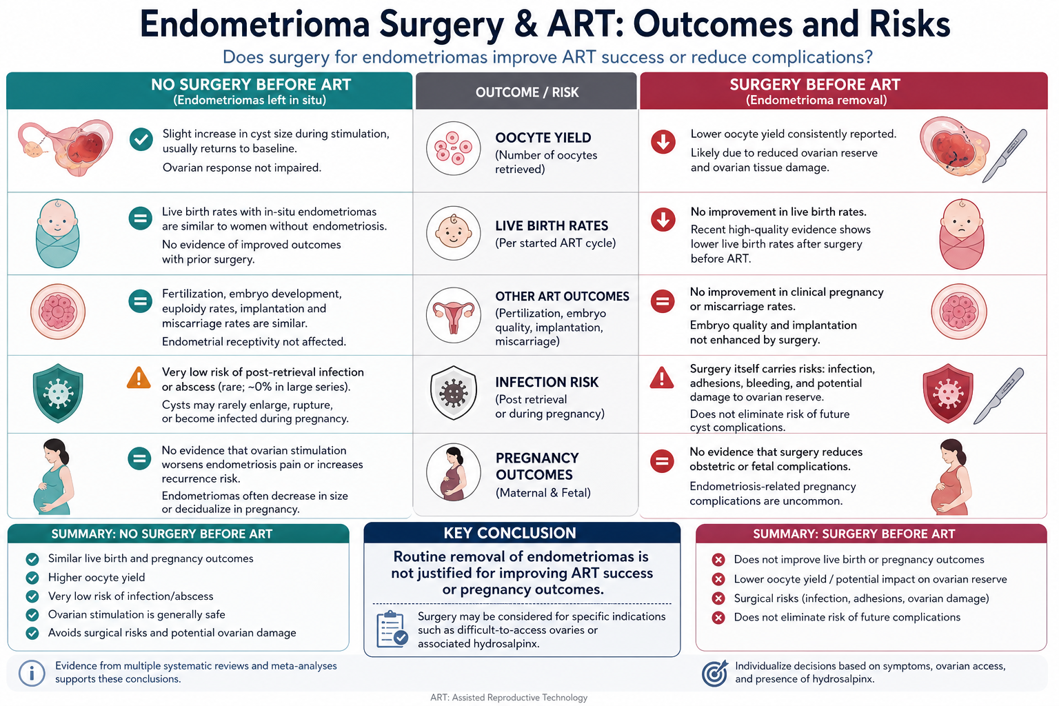 A detailed infographic comparing outcomes and risks of endometrioma surgery with and without assisted reproductive technology (ART). It highlights that no surgery before ART results in similar live birth and pregnancy outcomes, higher oocyte yield, a