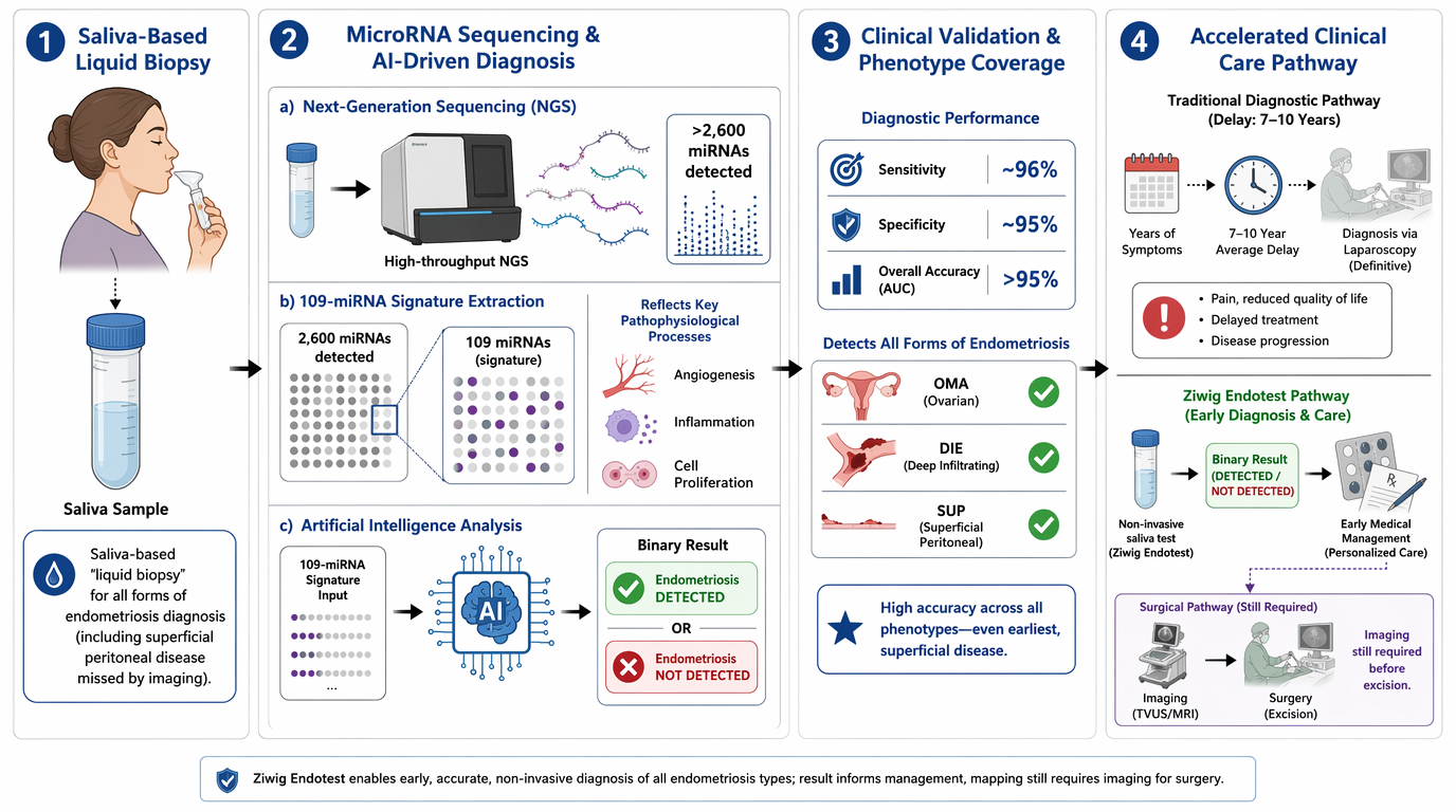 Infographic illustrating a diagnostic pathway for endometriosis. It includes steps like saliva-based liquid biopsy, microRNA sequencing with AI analysis, clinical validation with high sensitivity and specificity, and an accelerated clinical care path