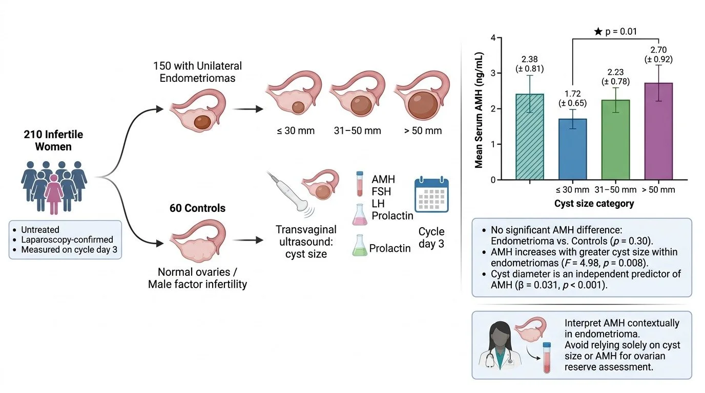 The-impact-of-endometrioma-size-on-ovarian-reserve-remains-controversia…-image-1.jpg