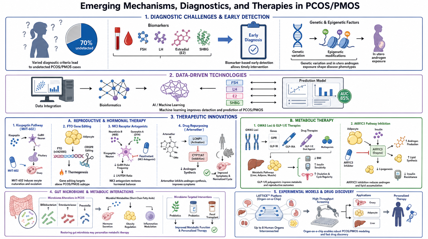 Diagram of emerging mechanisms, diagnostics, and therapies in PCOS/PMOS, covering diagnostic challenges, data-driven technologies, therapeutic innovations, gut microbiome interactions, metabolic therapy, predictive models, and drug discovery platform