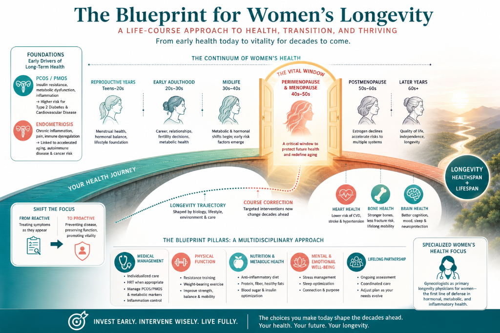 An infographic titled 'The Blueprint for Women's Longevity' illustrating a life-course approach to women's health, from early drivers of long-term health to later years, emphasizing prevention, health management, and specialized focus areas, with sec