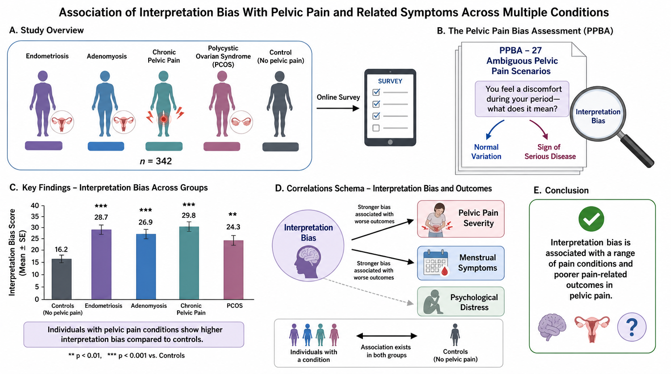 Diagram summarizing a study on interpretation bias in pelvic pain. Features sections on study overview with groups of women with various pelvic conditions, a survey process, assessment of interpretation bias related to pelvic pain, key findings showi
