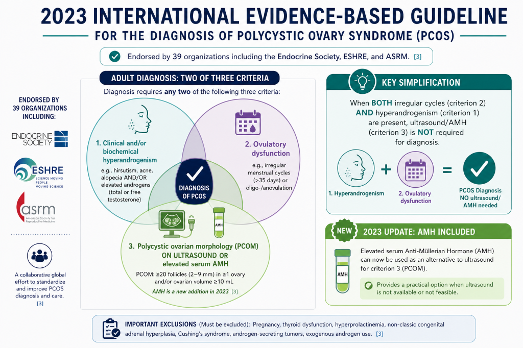 A chart showing the 2023 international evidence-based guidelines for diagnosing polycystic ovary syndrome (PCOS). It includes endorsed organizations, criteria for diagnosis requiring any two of three criteria, key simplifications, and recent updates 