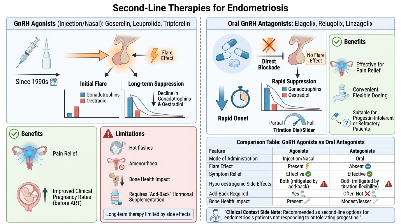 Infographic explaining second-line therapies for endometriosis, comparing GnRH agonists and oral GnRH antagonists. It highlights the benefits, limitations, and features of each treatment, including mode of administration, flare effect, symptom relief