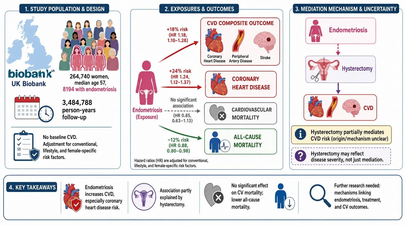 Flowchart illustrating a study on endometriosis and cardiovascular disease risk, including study population details, exposure outcomes, mediation mechanisms, key findings, and implications for further research.