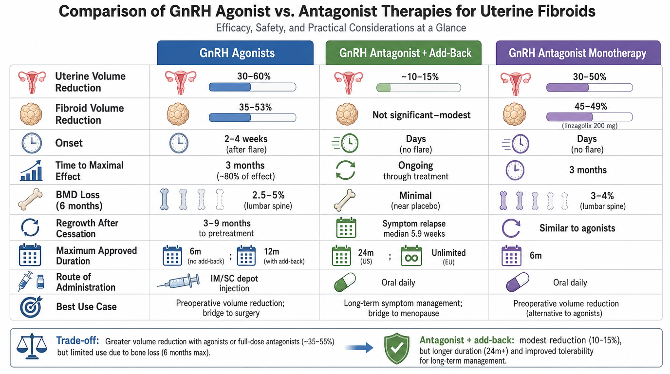 Comparison chart of GnRH Agonists, GnRH Antagonist + Add-Back, and GnRH Antagonist Monotherapy for uterine fibroids, detailing efficacy, safety, onset, duration, side effects, administration, and best use cases.