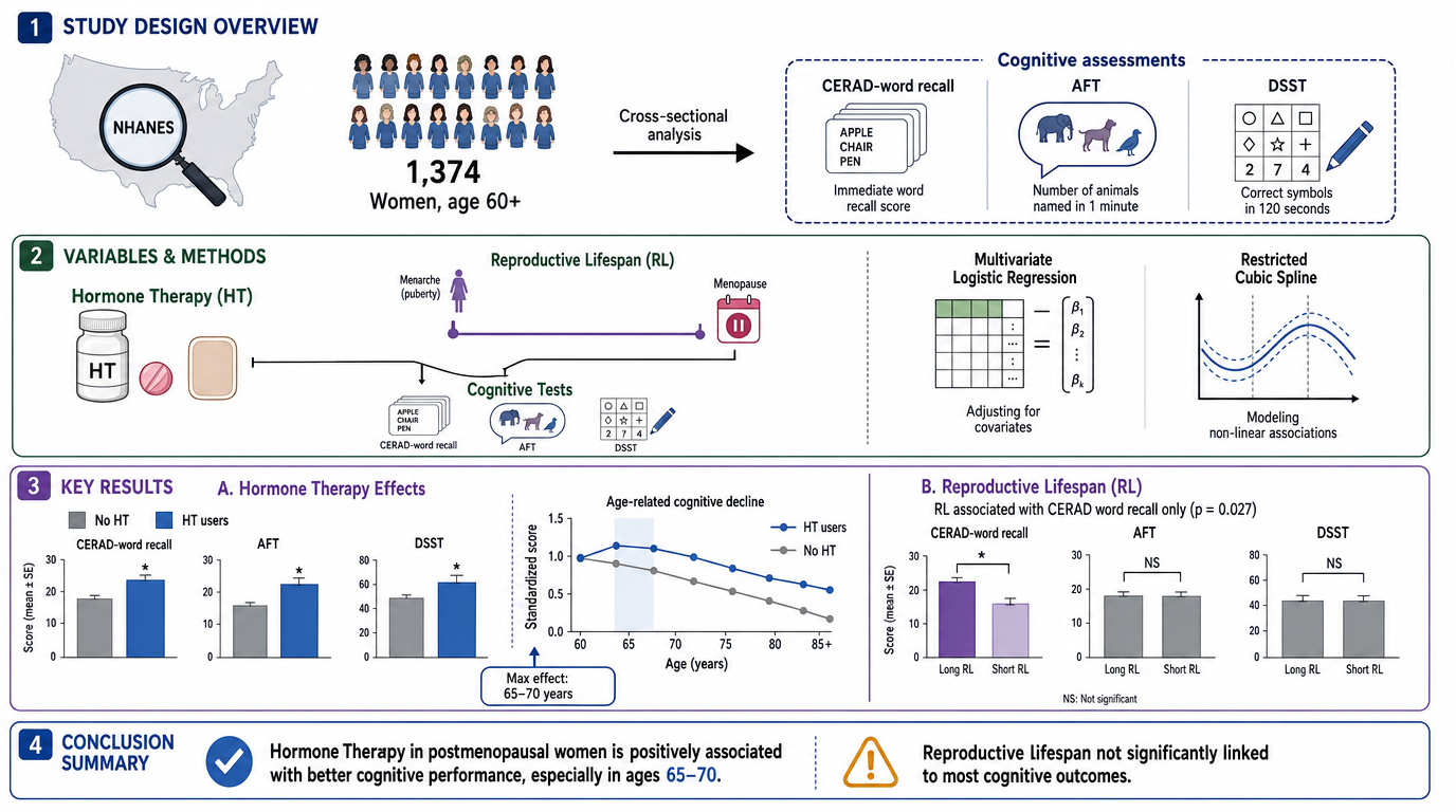 Infographic showing study design overview, variables and methods, key results, and conclusion summary on hormone therapy and cognitive performance in women aged 60 and older. Includes maps, graphs, and icons related to cognitive assessments and stati
