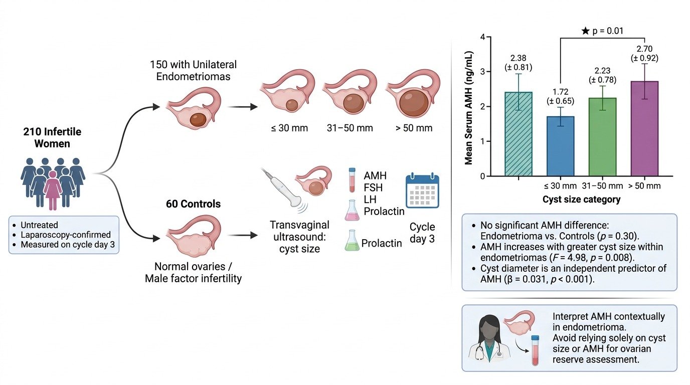 The-impact-of-endometrioma-size-on-ovarian-reserve-remains-controversia…-image-1.jpg