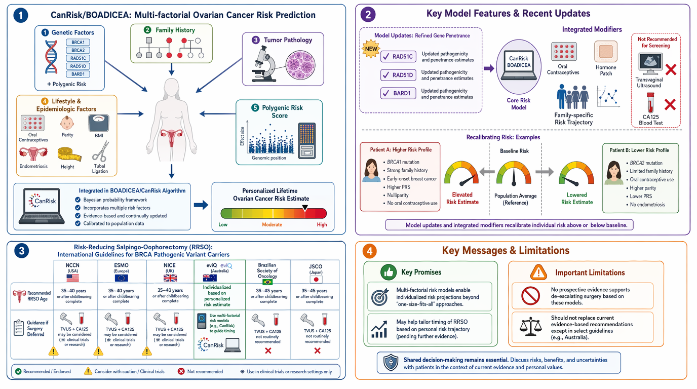 Summary of a scientific infographic on ovarian cancer risk prediction, highlighting genetic factors, family history, tumor pathology, lifestyle factors, polygenic risk score, risk modeling updates, examples of recalibration, risk-reducing surgery gui