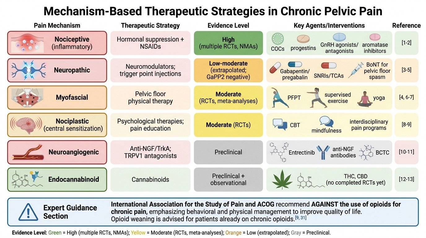 Chart displaying mechanism-based therapeutic strategies for chronic pelvic pain, listing pain mechanisms such as nociceptive, neuropathic, myofascial, nociplastic, neuroangiogenic, and endocannabinoid. It details therapeutic strategies, evidence leve