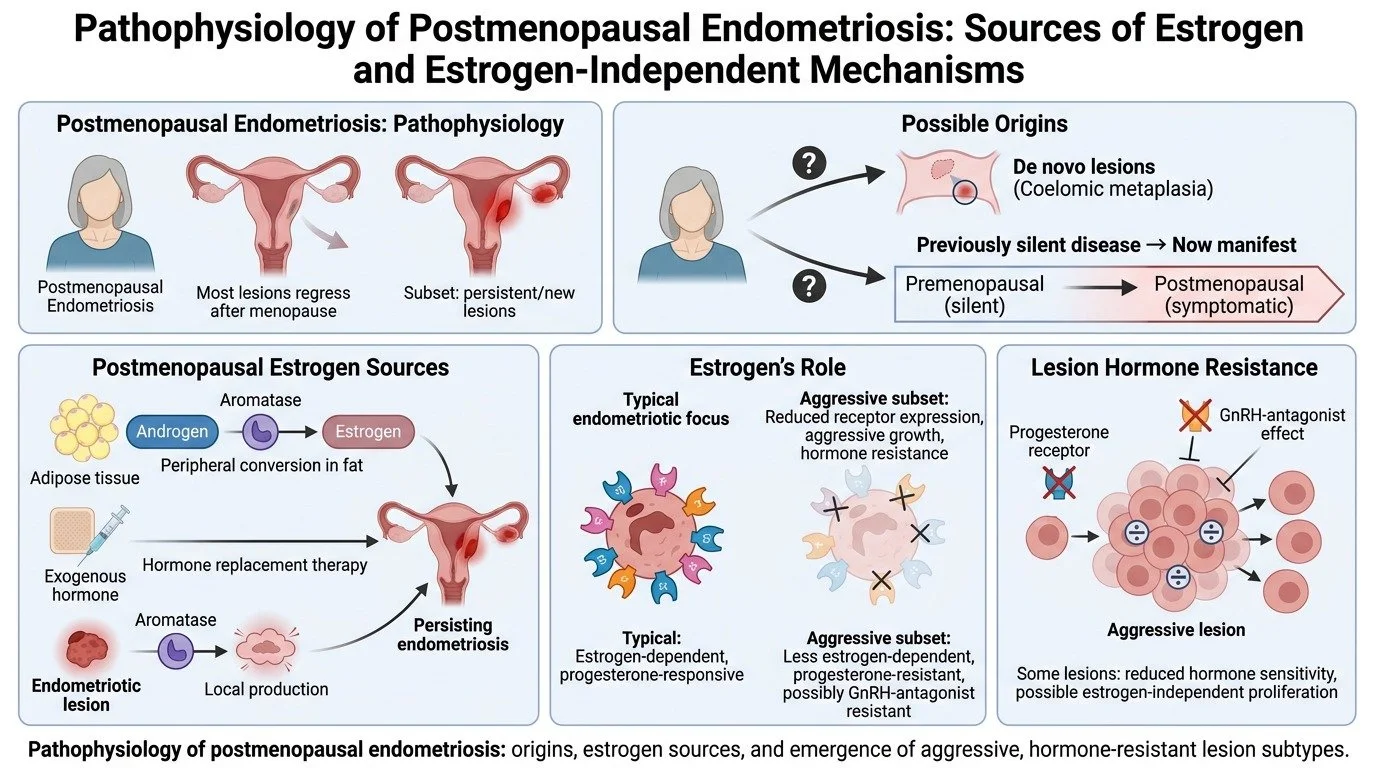 The-pathophysiology-of-endometriosis-remains-incompletely-understood,-a…-image-1.jpg