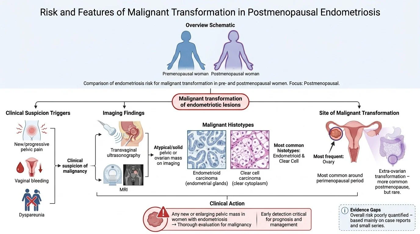 Similar-to-premenopausal-endometriosis,-one-of-the-main-concerns-in-pos…-image-1.jpg