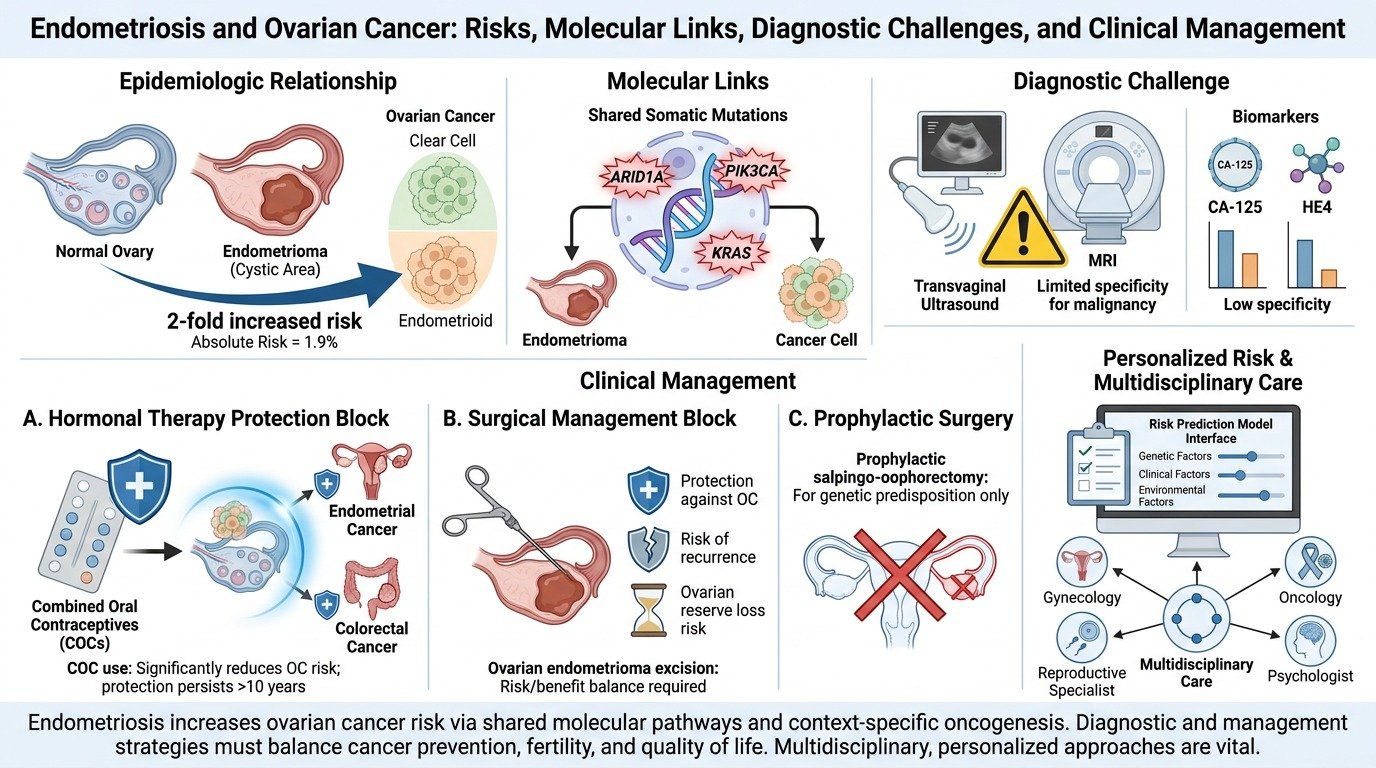 Diagram illustrating endometriosis and ovarian cancer risks, molecular links, diagnostic challenges, and clinical management strategies, including hormonal therapy, surgical intervention, prophylactic surgery, and personalized multidisciplinary care.