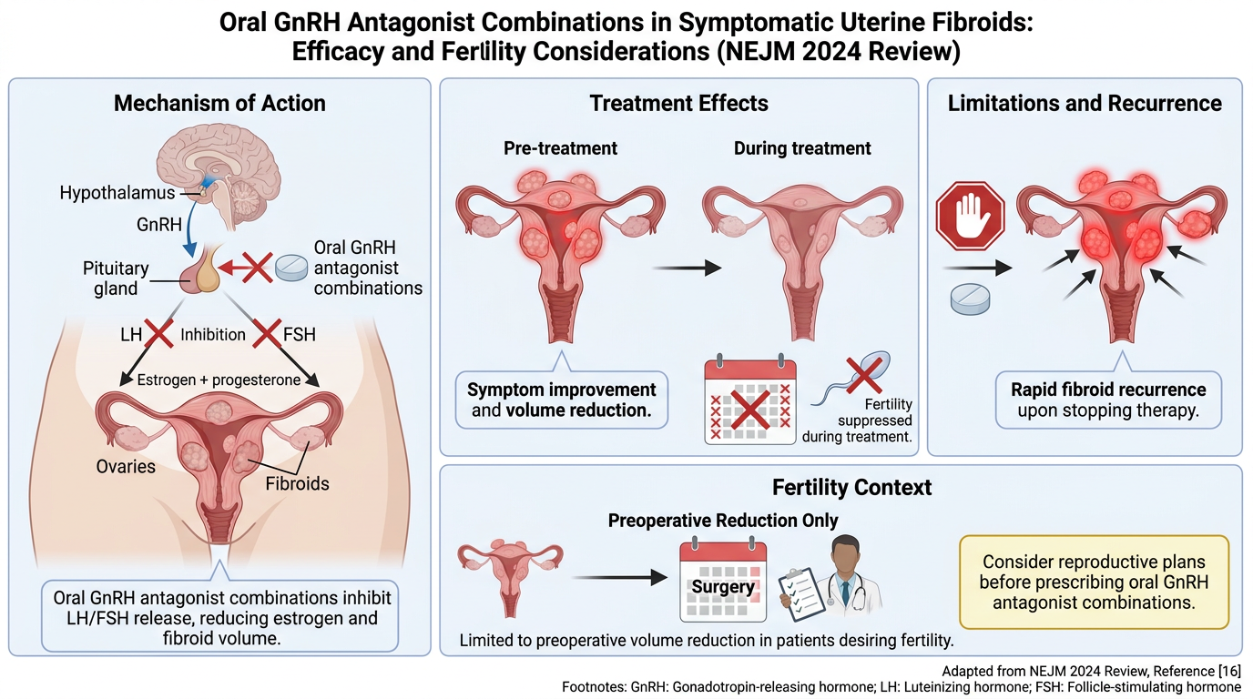 Diagram of treatment for symptomatic uterine fibroids using oral GnRH antagonists, showing mechanism of action, effects during treatment, limitations, recurrence, and fertility considerations with surgery only for preoperative volume reduction.