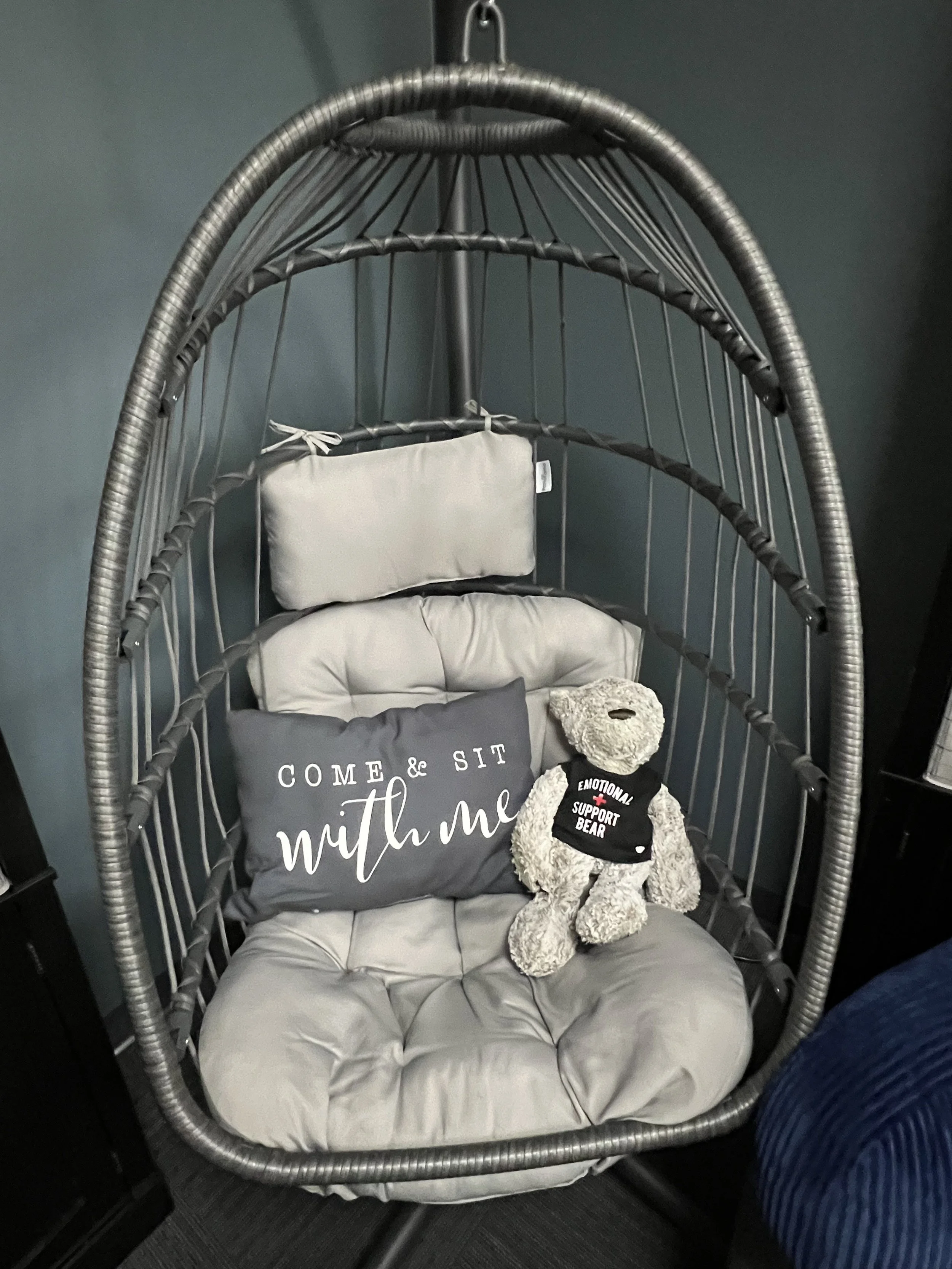 A hanging egg-shaped chair with a cushioned seat and backrest, featuring gray and beige pillows, positioned against a dark wall. A teddy bear wearing a black shirt with white text reading 'Emotional Support Bear' sits on the seat of the chair.