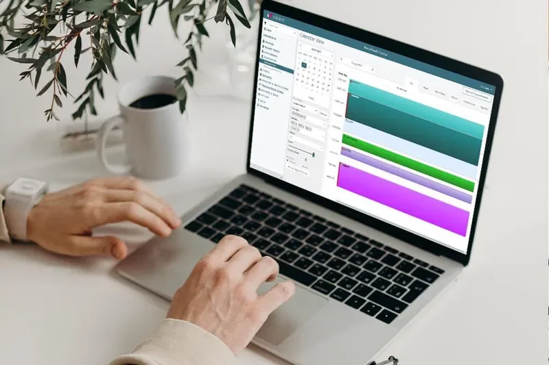 Person working on a laptop with a productivity app open, a white mug of coffee nearby, and a green leafy plant on a white desk.