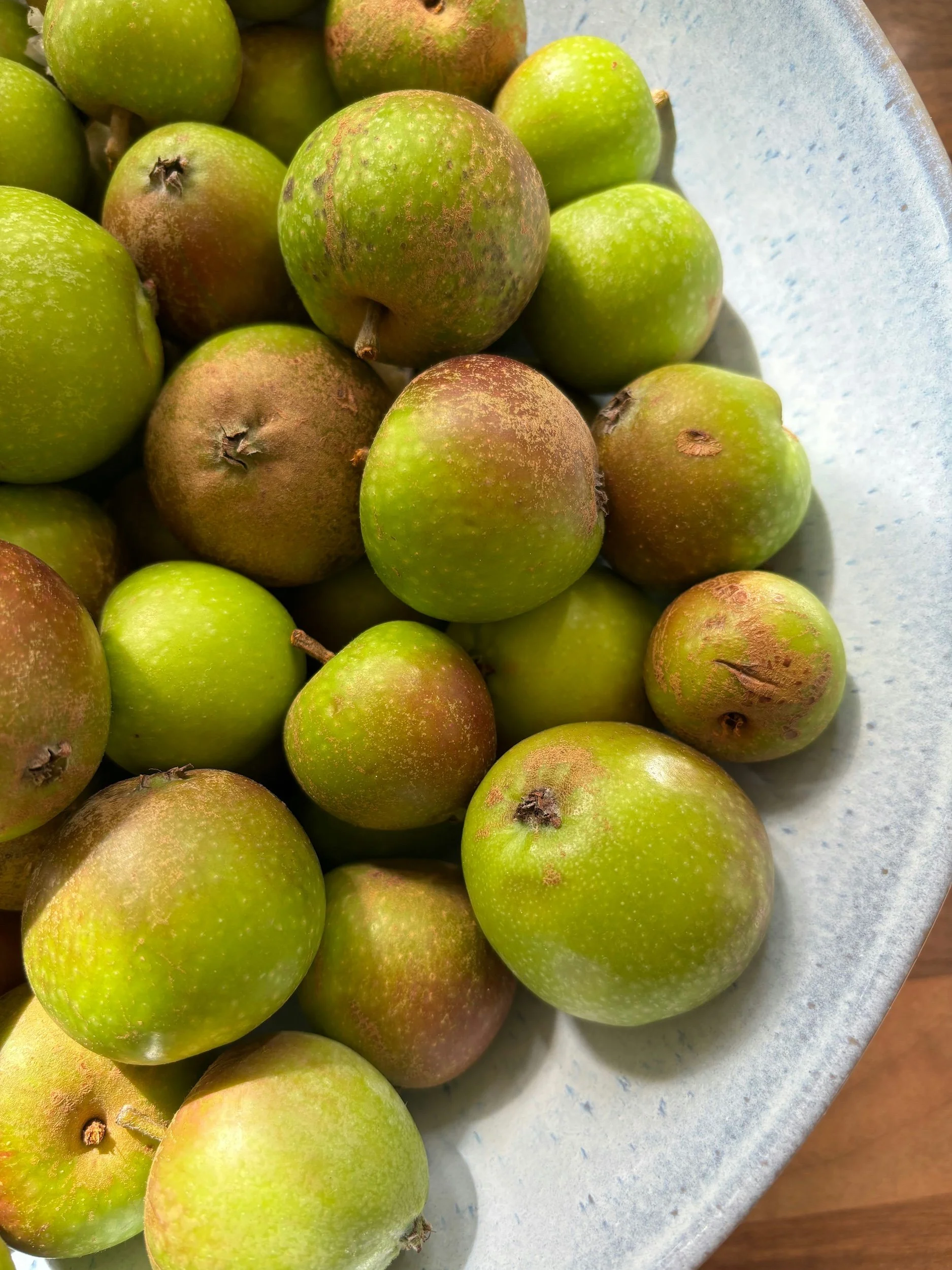 A bowl filled with unripe green apples, some with brown spots, placed on a light-colored surface.