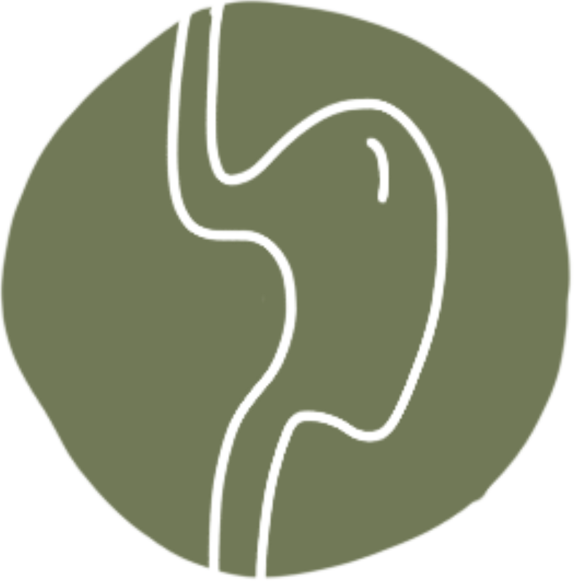 Outline of a human ear with internal structures on a green circular background.