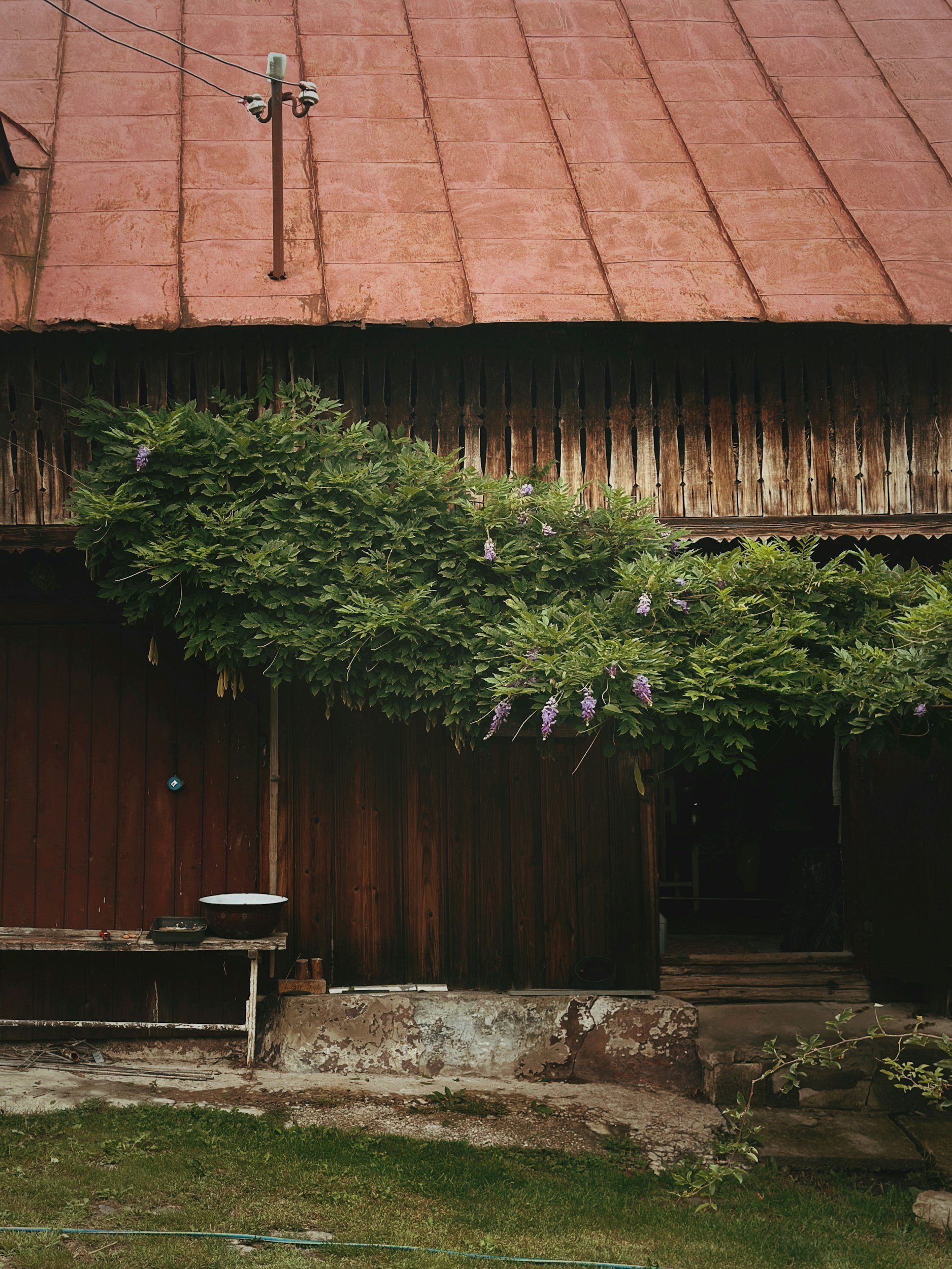 Protecting Your Bellevue Home from Summer Dust, Pollen, and Airborne Debris with Exterior Cleaning