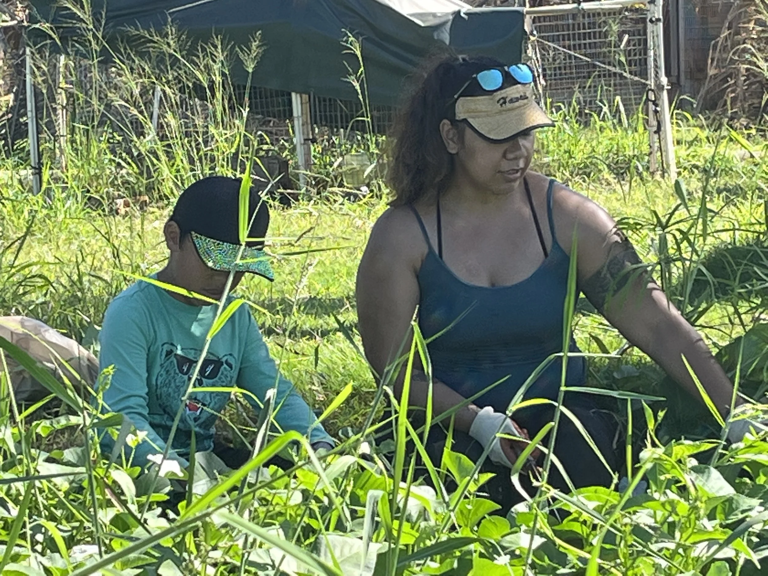 A woman and a child harvesting plants outdoors in a garden or farm, surrounded by green foliage and tall grass.