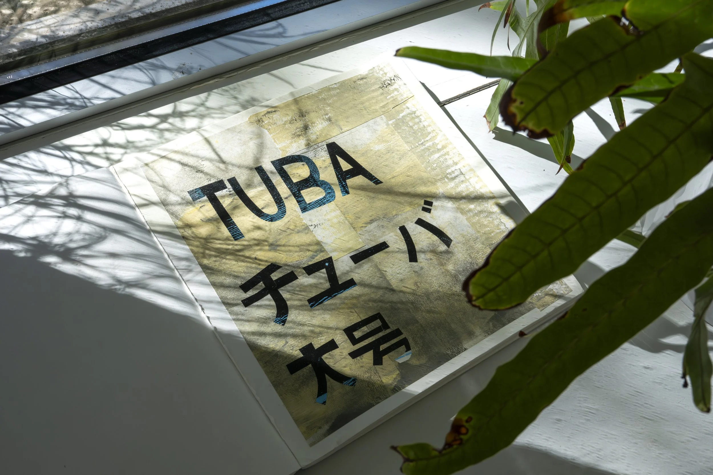 Copy of Foyer Gallery, A.Harris Solo-15.jpg