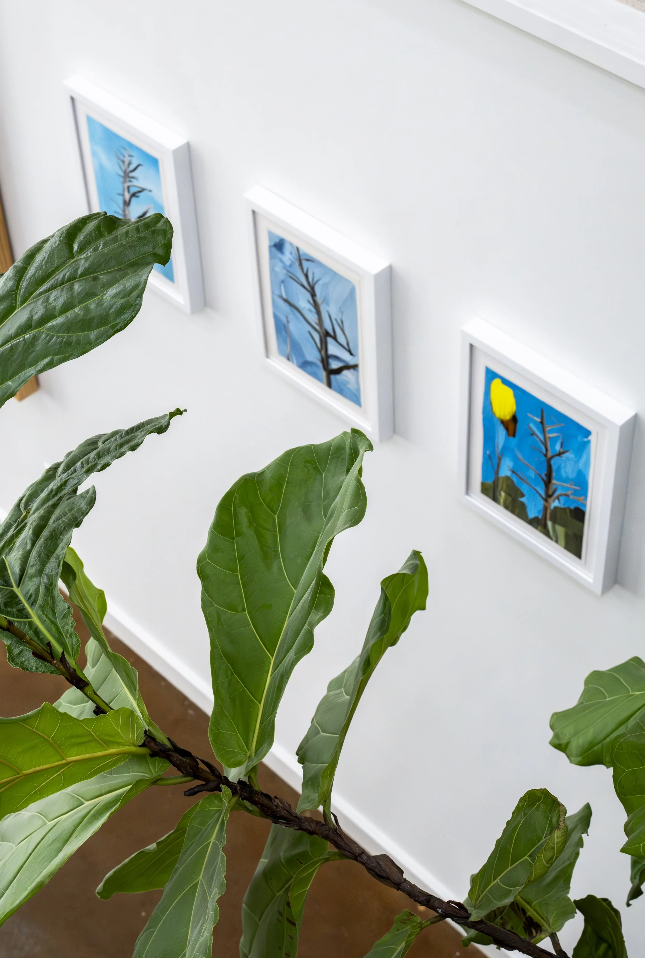 Copy of Foyer Gallery, A.Harris Solo-10.jpg