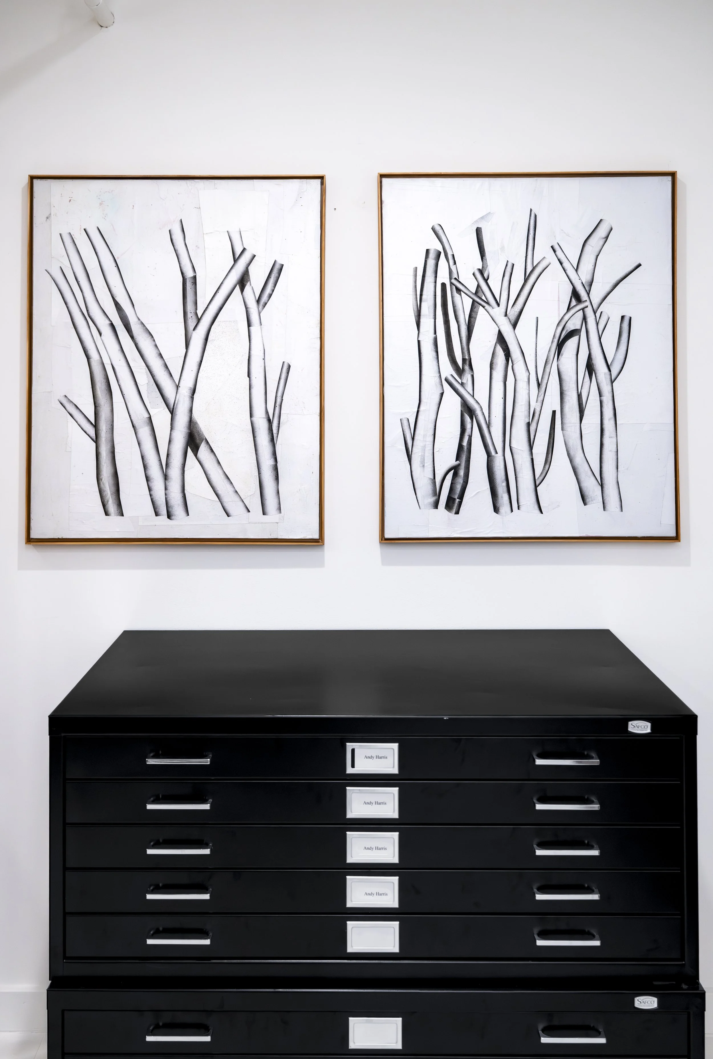 Copy of Foyer Gallery, A.Harris Solo-6.jpg