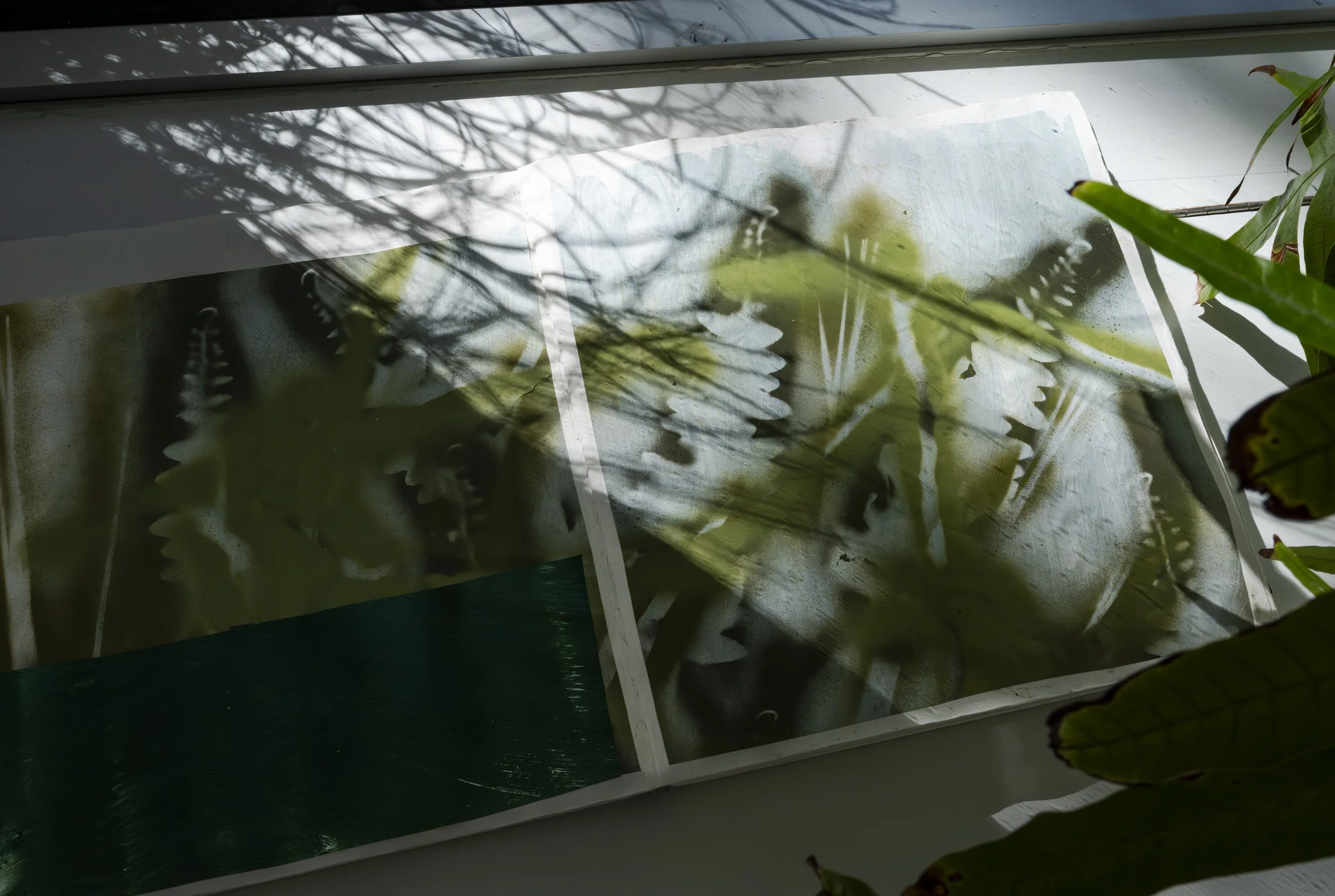 Copy of Foyer Gallery, A.Harris Solo-16.jpg