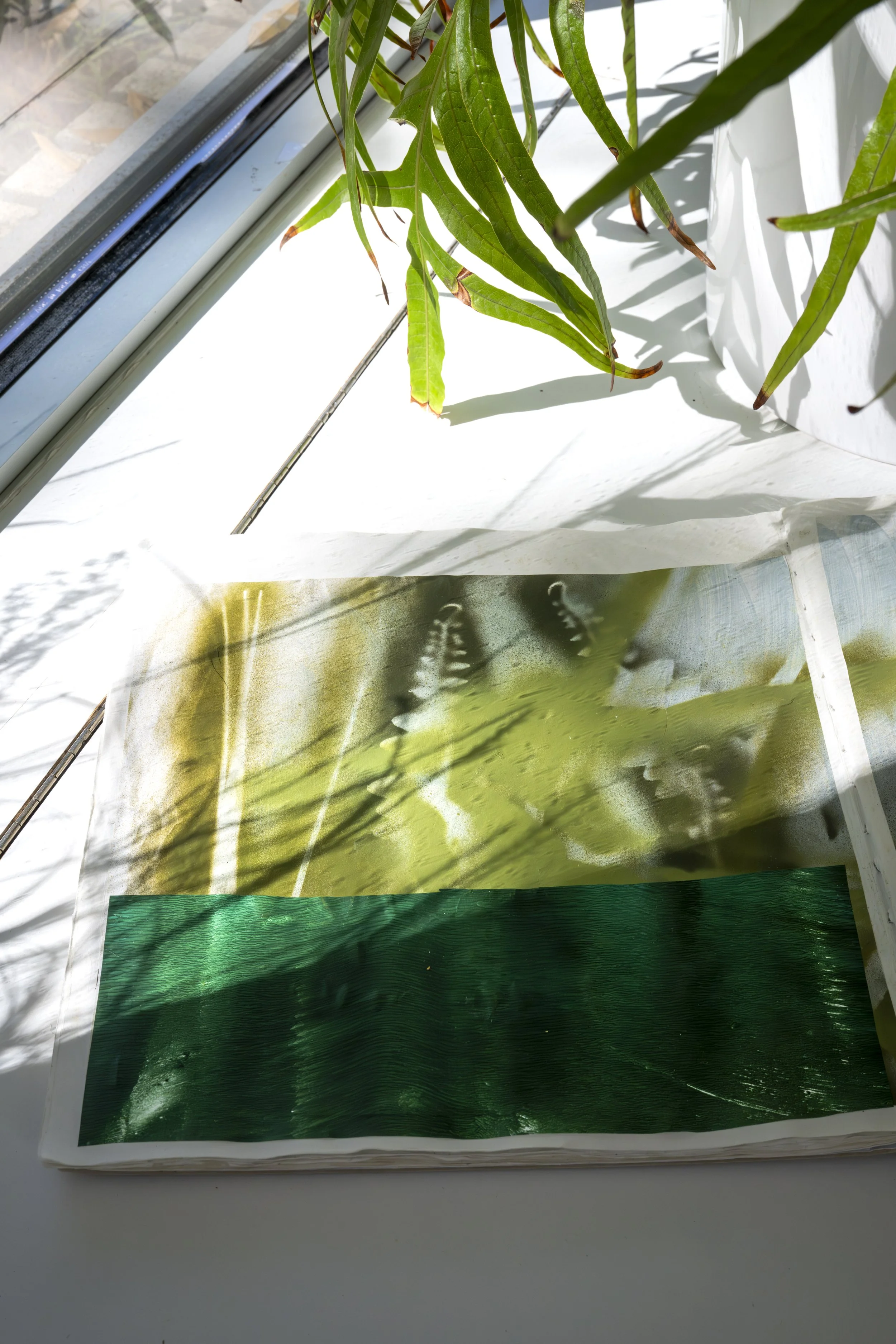 Copy of Foyer Gallery, A.Harris Solo-12.jpg