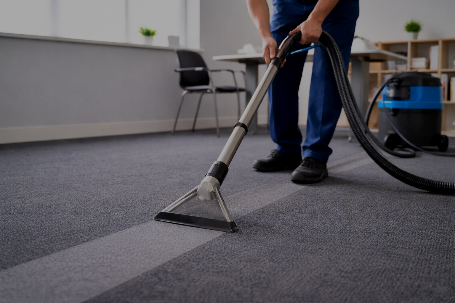 Carpet Cleaning