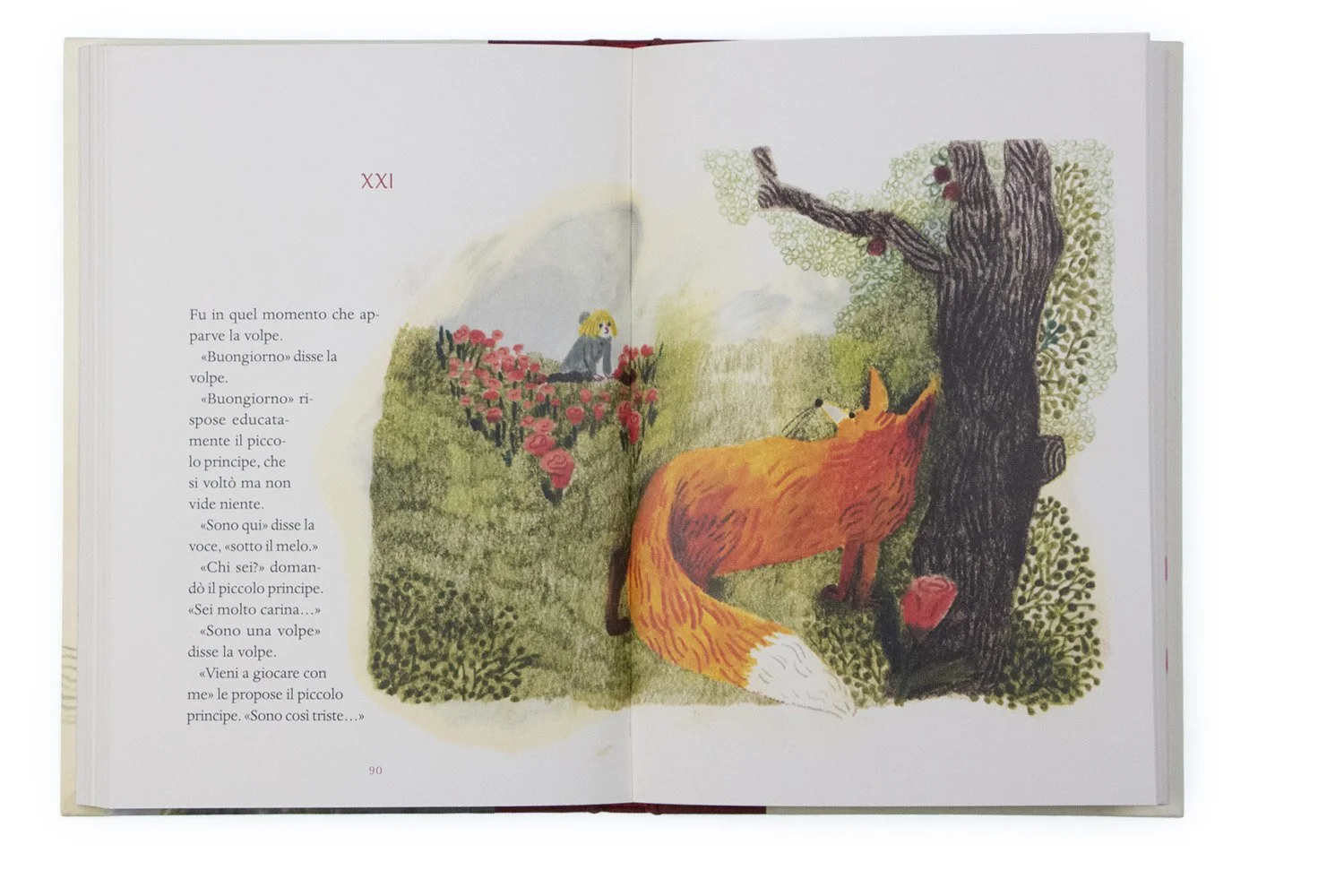 Piccolo_Principe_0000s_0006_Piccolo Principe_7.jpg