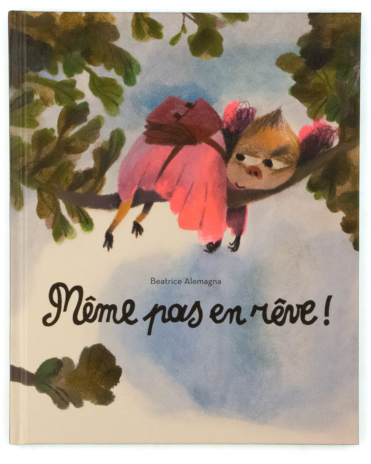 Album_Site_B_Covers_Template_0000_Meme pas en reve.jpg