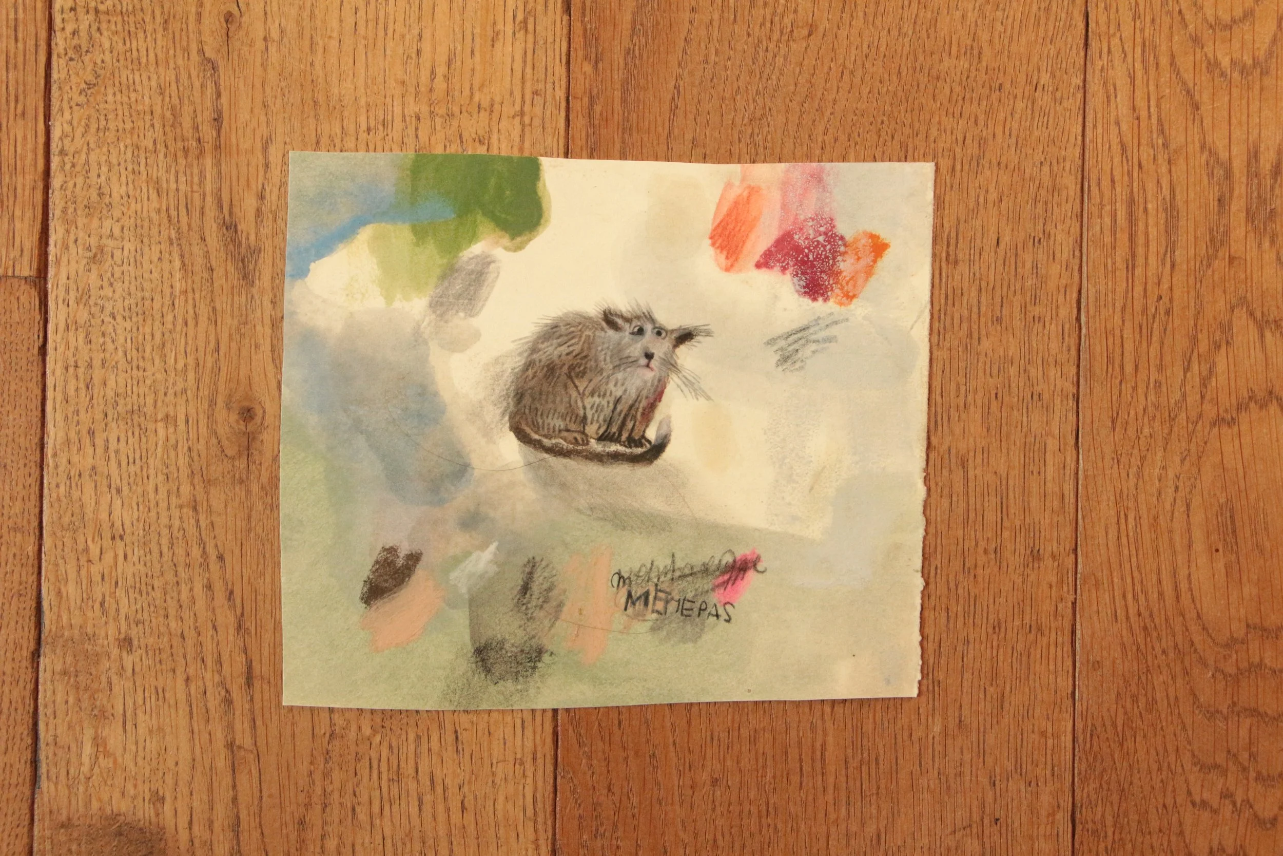 Shaggy survivor of a sketchbook