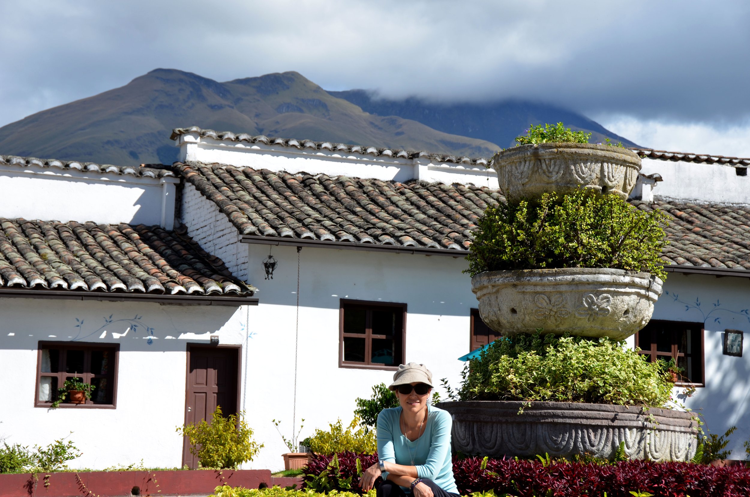 Contemplando la belleza de los Andes en Ecuador
